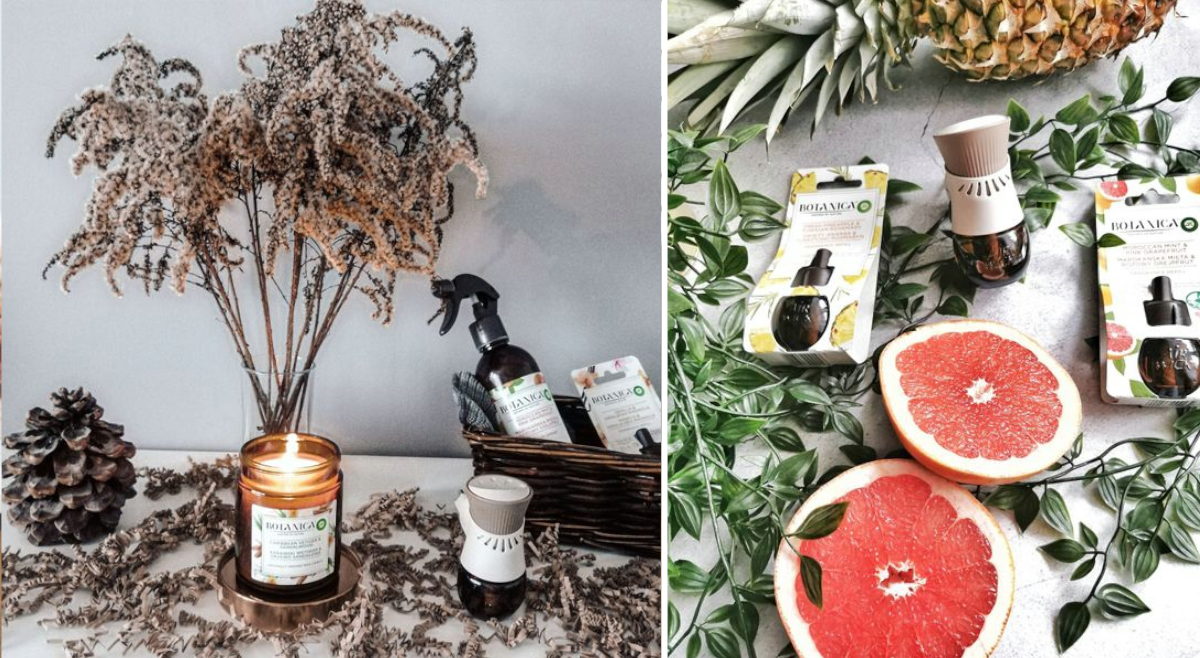 Finał projektu Air Wick Botanica!