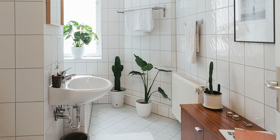 Sprawdź, czy wykonałeś już wszystkie zadania w projekcie!