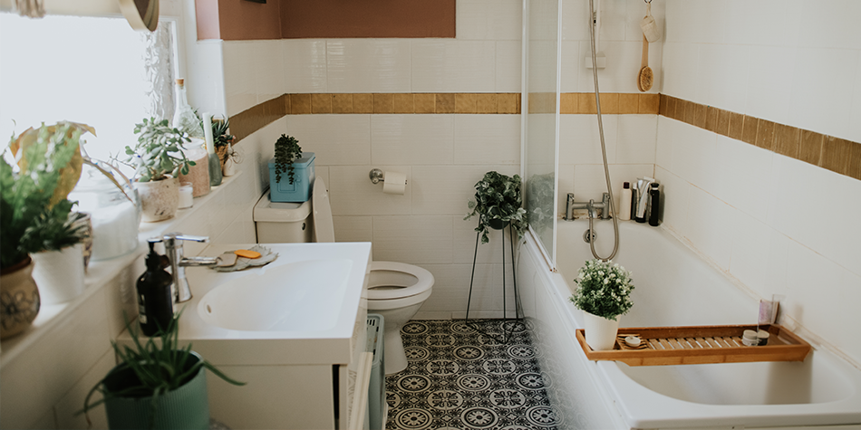 Witamy w projekcie Ambi Pur! 