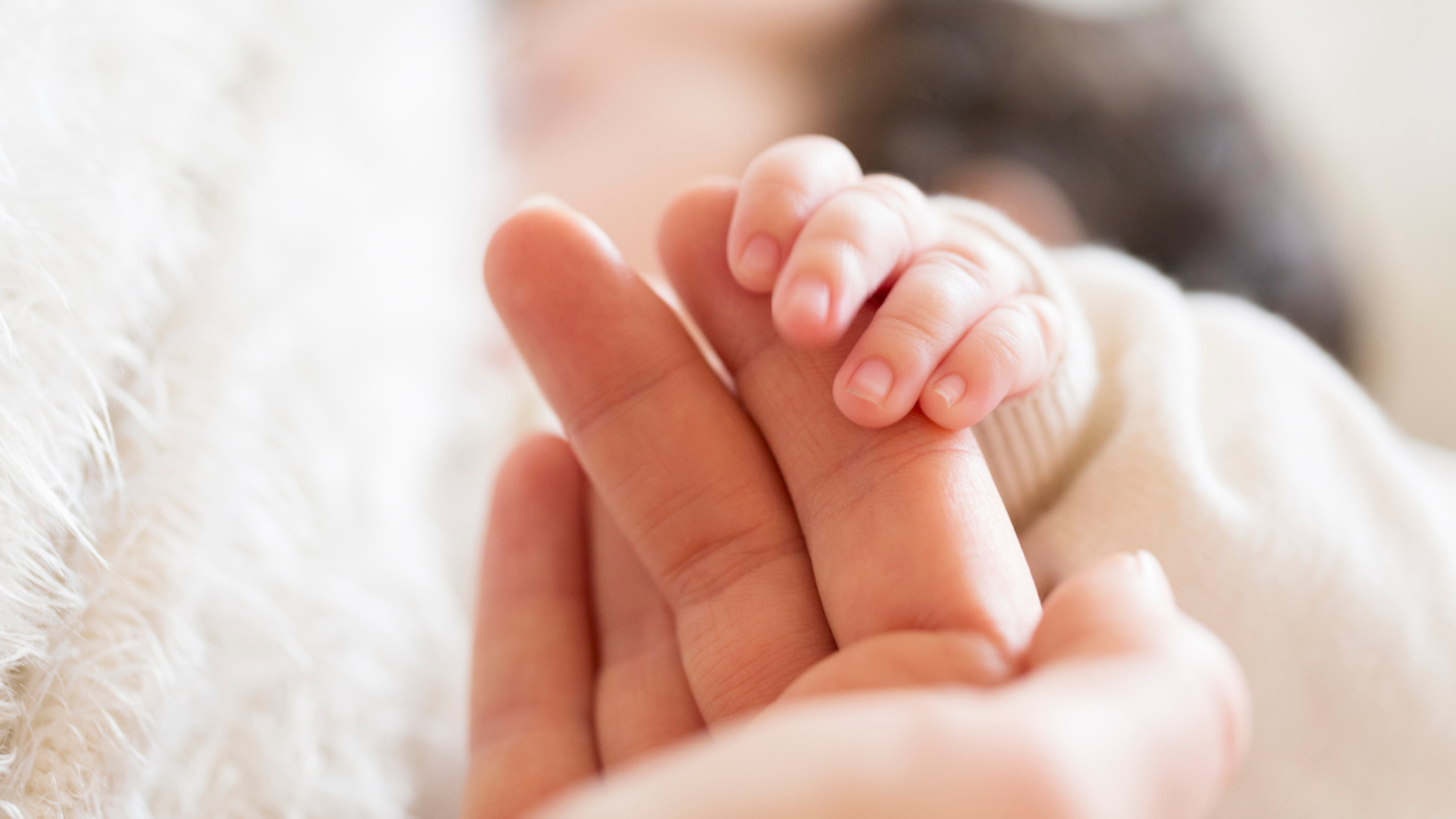 Witamy mamy w projekcie Bebiko PRO+ 2!