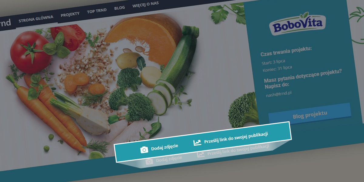 Twoje zadania w projekcie