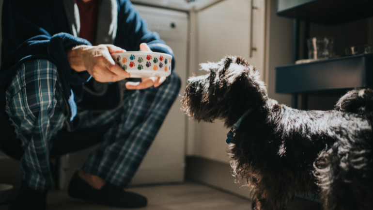 Podziel się swoją opinią na temat przetestowanej karmy Butcher's! 