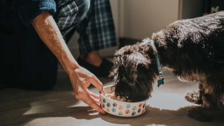 Sprawdź, czy wykonałeś już wszystkie zadania w projekcie!
