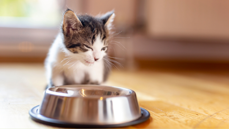 Czas na Twoje pierwsze zadanie w projekcie!