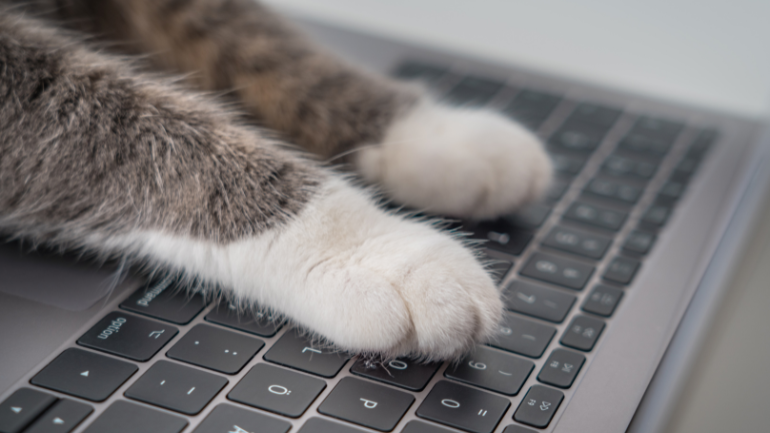 Podziel się swoją opinią