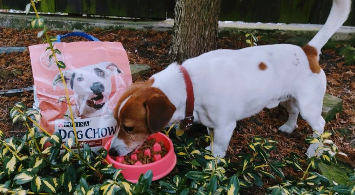 Czas na Twoją publikację!