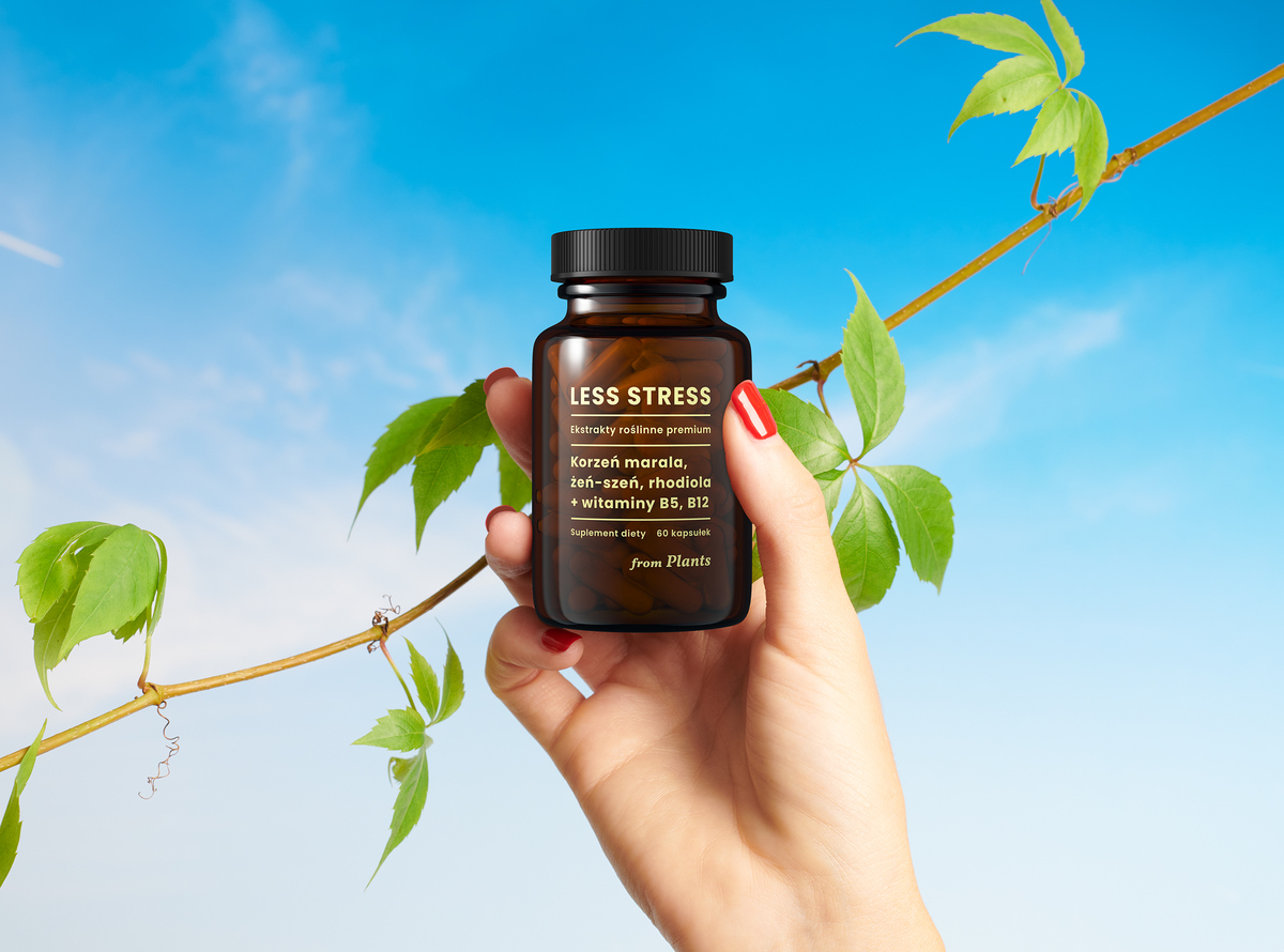 Sprawdź, czy wykonałeś już wszystkie zadania!