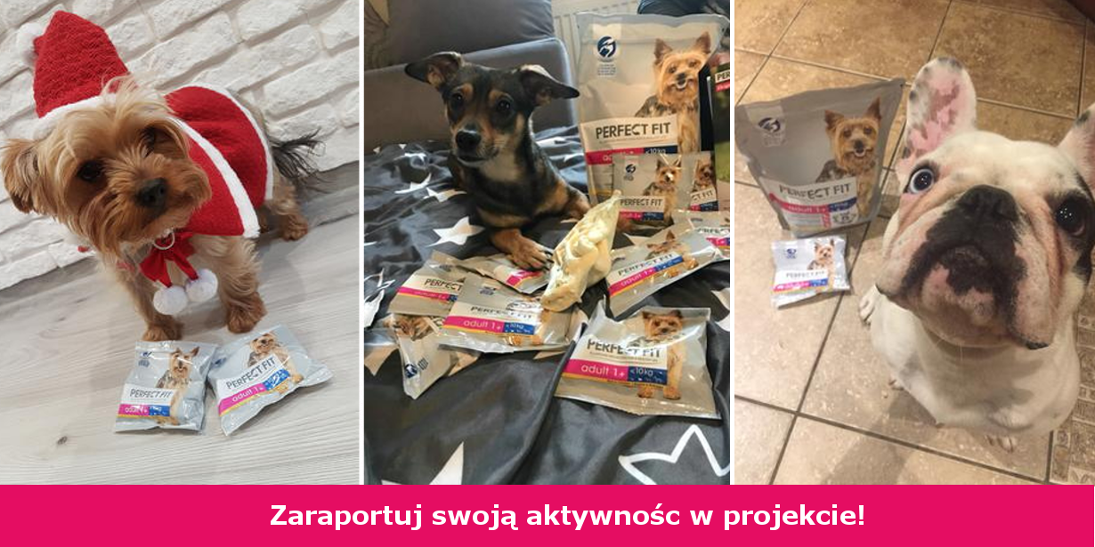 Zaraportuj swoją aktywność!
