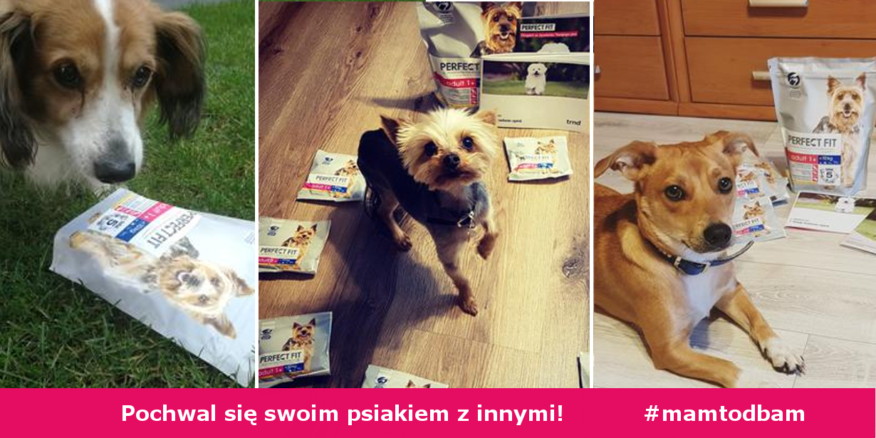 Pokaż nam swojego psiaka! 