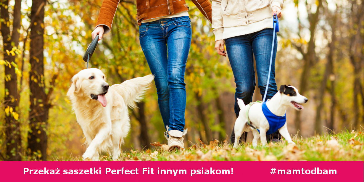 Podziel się Perfect Fit!