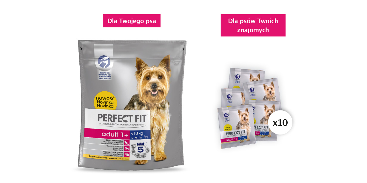 W zestawie startowym znajdziesz 1 pełnowartościowy produkt dla Ciebie i Twojego psa oraz 10 saszetek Perfect Fit, którymi będziesz mógł podzielić się ze swoimi znajomymi, którzy tak jak Ty posiadają psa!