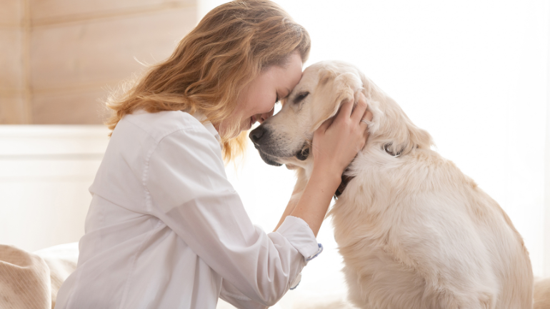 Witamy w projekcie Purina® PRO PLAN® Dog 