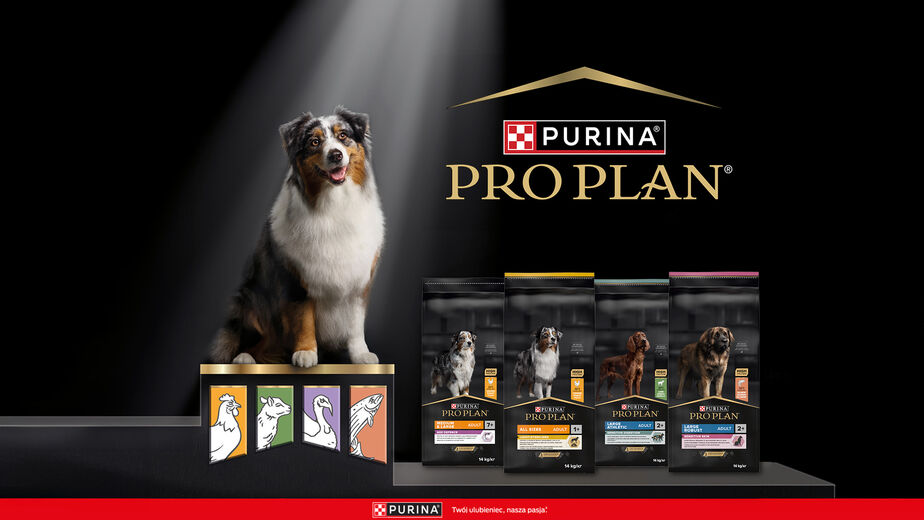 Nowy projekt | Purina® PRO PLAN® Dog