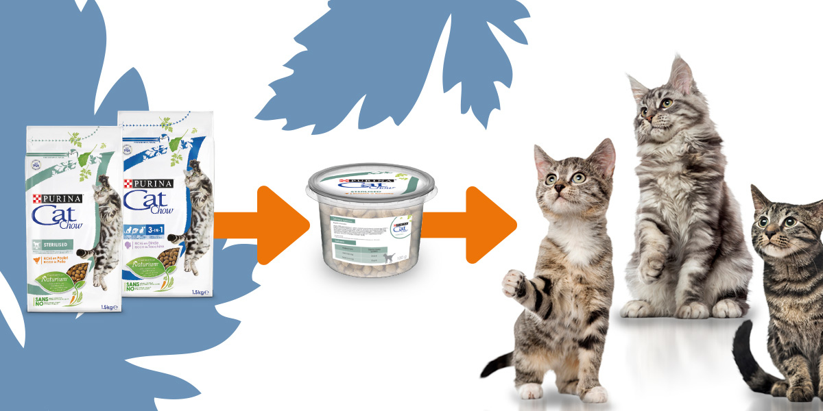 Jak przygotować próbki z karmą dla Twoich znajomych?