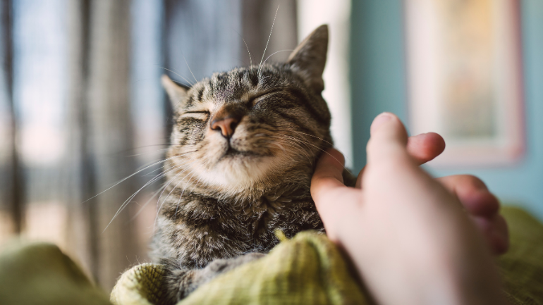 Czas na Twoje pierwsze zadanie w projekcie!