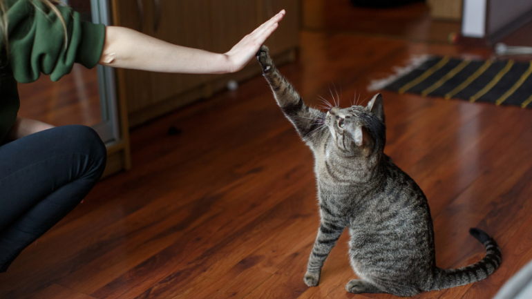 Podziel się swoją opinią