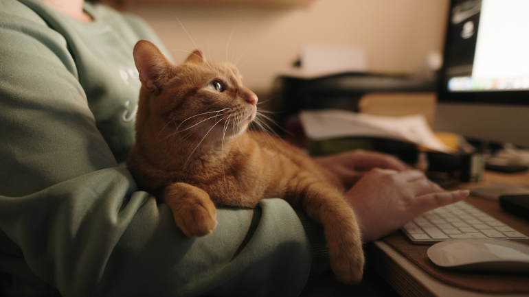 Podziel się swoją opinią