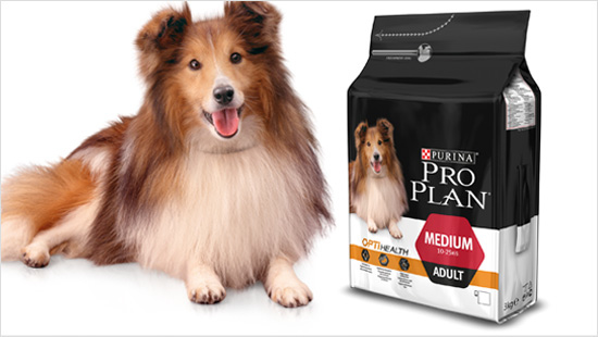 W projekcie trnd będziemy testować pełnoporcjową karmę PURINA PRO PLAN ...