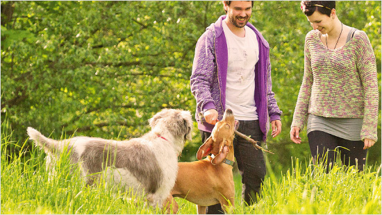 Przez sześć tygodni trwania projektu znajdziemy wiele okazji do rozmowy o karmie PURINA PRO PLAN ze znajomymi i przyjaciółmi, którzy również mają ukochanego czworonoga! 