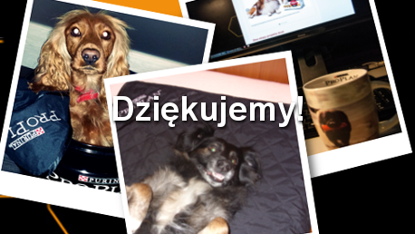 Grupa najaktywniejszych Ambasadorów otrzymała upominki od marki PRO PLAN!