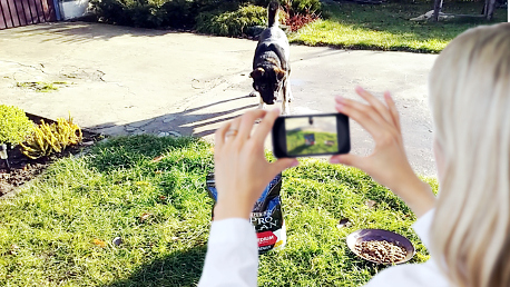 Piesek Ambasadorki agadawid