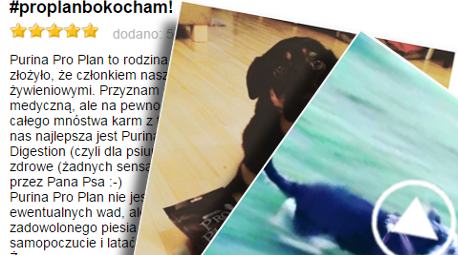 To zaledwie ułamek wszystkich publikacji na temat marki PRO PLAN!