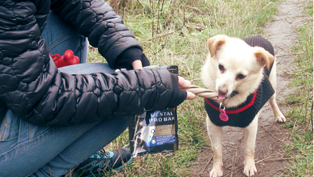 Wspólne spacery były świetną okazją do rozmów!