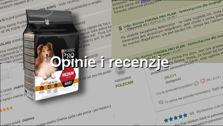 Opinie i recenzje
