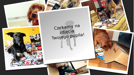 Czekamy na zdjęcie Twojego psiaka!