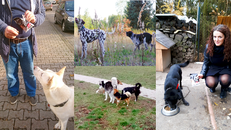 Wspólne spacerki to świetna sprawa!