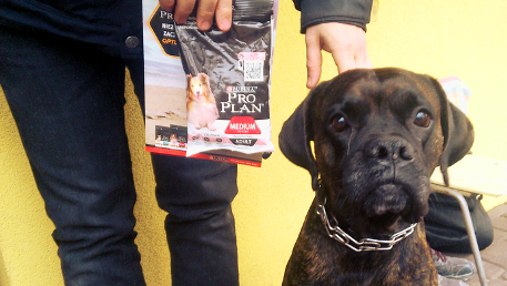 Jeden z pierwszych testerów - zdjęcie dzięki uprzejmości Ambasadora Buba1988