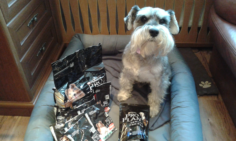 Ambasadorka agaandru