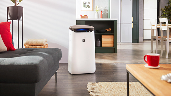 Witamy w projekcie Oczyszczacze powietrza Sharp & Vestfrost!