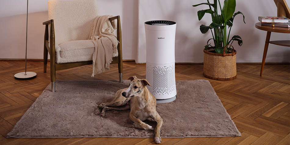 Pomysły na Twoją publikacje z oczyszczaczem powietrza Sharp lub Vestfrost!