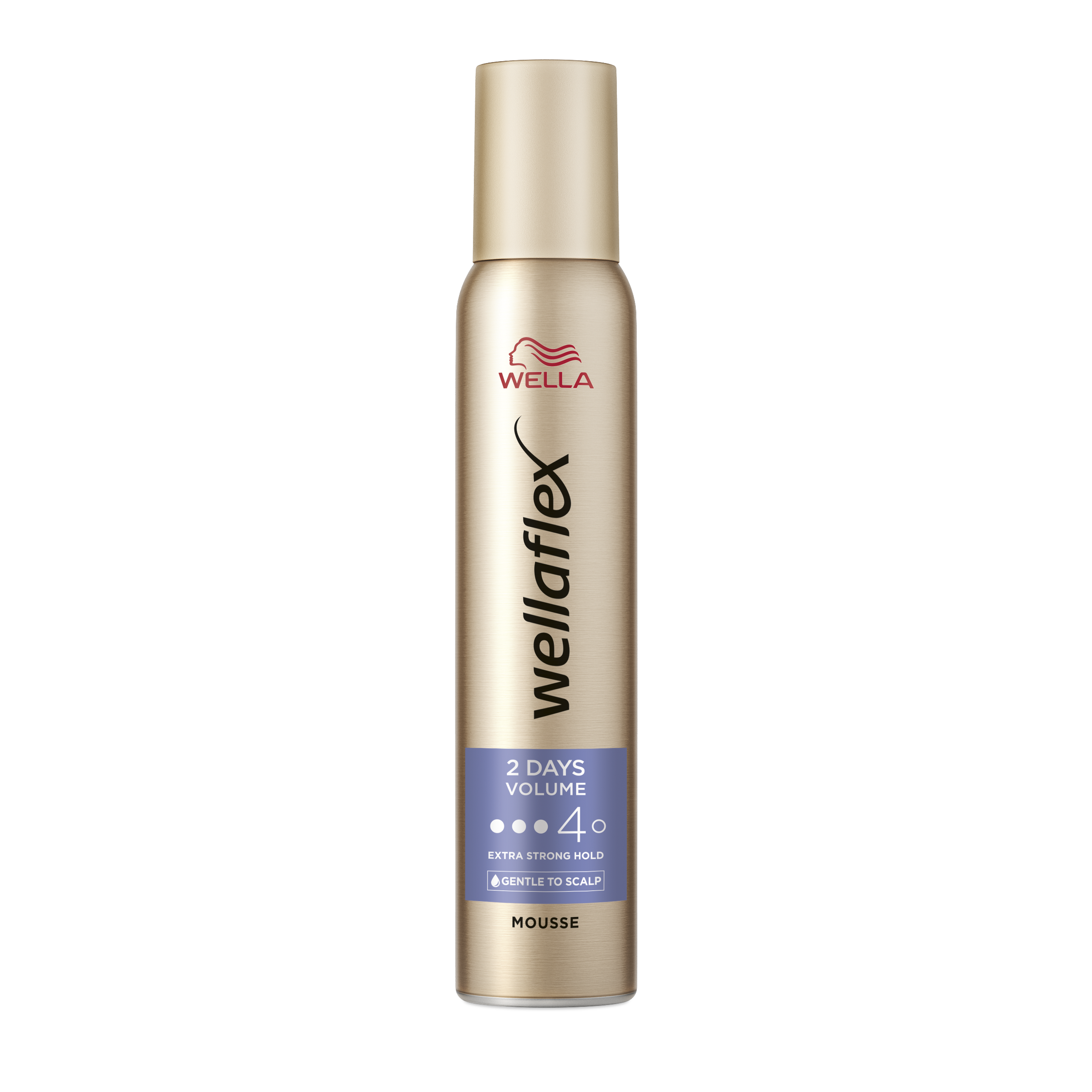 Wellaflex 2nd Day Volume Mousse 