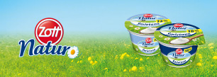 Zott Natur Śmietana