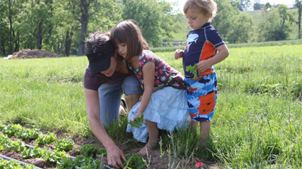 2014-agricultura-familiar-trnd-pt-marketing-participativo