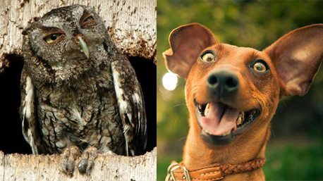 trnd_marketing colaborativo_dia ou noite