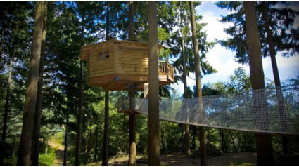 trnd marketing colaborativo cabanas na arvore