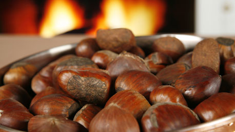 Preparar castanhas no micro-ondas
