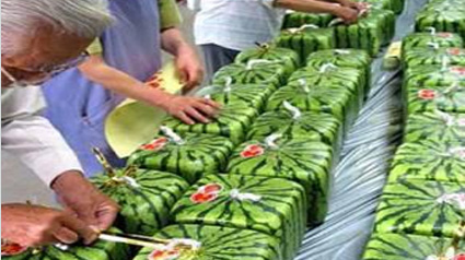 sandia_cuadrada3-jpg