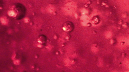 trnd_pista-novo-projeto-jpg