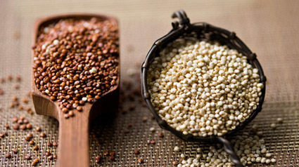 trnd marketing colaborativo quinoa