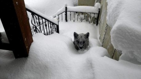 trnd marketing colaborativo encontro inesperado