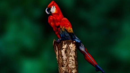 trnd_marketing_colaborativo_arte-corporal-1-jpg