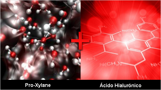 Revitalift Laser X3 contém uma associação de reconhecidos ativos anti-idade: o Pro-Xylane (que ajuda a estimular a produção de componentes naturais da pele) e o Ácido Hialurónico Fragmentado (com um efeito remodelador).