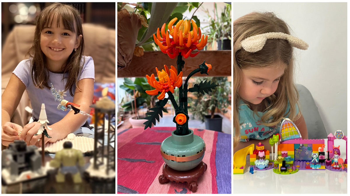 În acest proiect LEGO,