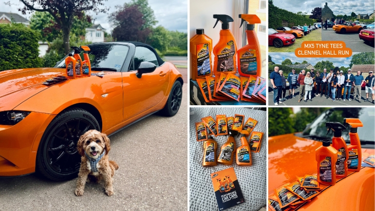 Photo collage of Armor All products and sharing samples with friends