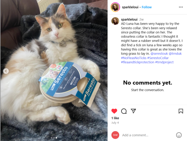 Seresto collar on Luna