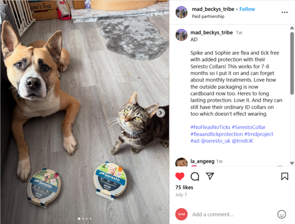 seresto collar on dog and cat